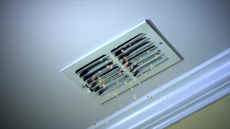 Best Local Air Duct Cleaning Services  in Elgin, MN