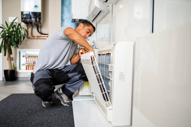 Best Affordable Air Duct Cleaning  in Elgin, MN