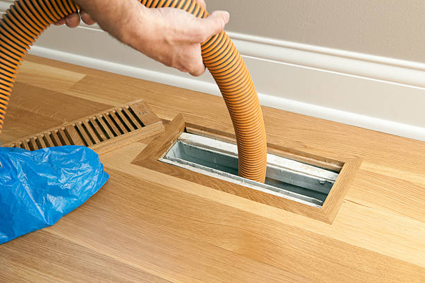 Best Affordable Duct Cleaning Services  in Elgin, MN