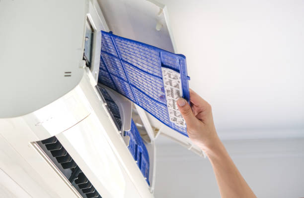 Best HVAC System Cleaning  in Elgin, MN